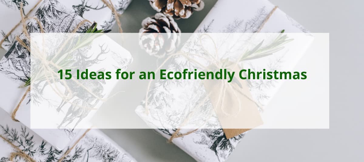 ecofriendly christmas