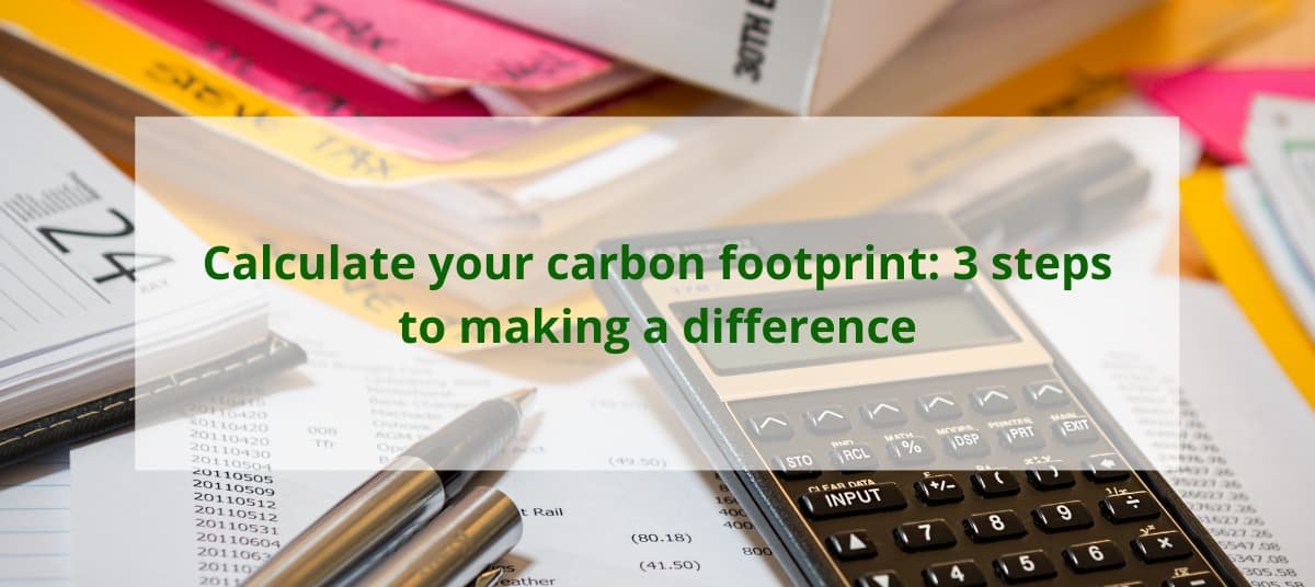 calculate carbon footprint