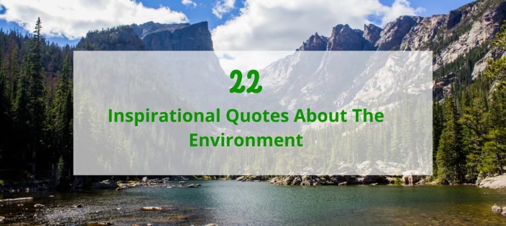 quotes about the environment